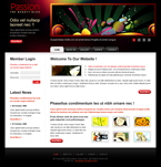 Art & Photography Website Template ABN-0007-ART