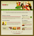 Art & Photography Website Template Colormix