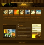 Art & Photography Website Template DBR-W0001-ART