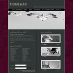 Art & Photography Website Template SUG-0002-ART