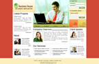 Business Website Template SOM-0002-BS