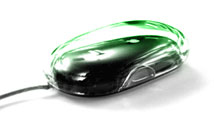 mouse