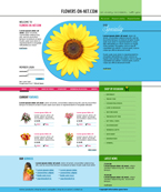 Flowers Website Template ABH-0001-FL
