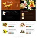 Flowers Website Template DG-0002-FL