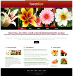 Flowers Website Template DG-C0002-FL