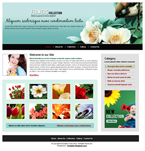 Flowers Website Template SBR-0003-FL