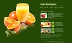 Food & Restaurant Website Template ANU-F0001-FR