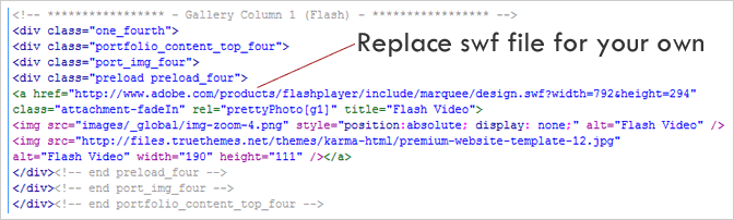 Flash Example