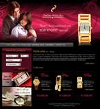 Online Store & Shop Website Template BRN-0001-ONLS