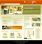 Real Estate Website Template TNS-0016-REAS