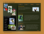 Sport Website Template DEEP-0001-S