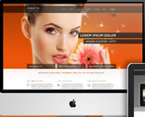 HTML - CSS