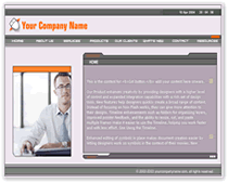 Flash Template 46