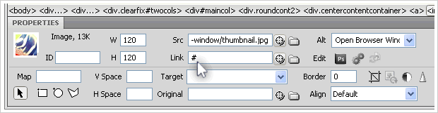 Open Browser Window