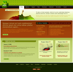 Web Design Website Template SJD-0002-WEBD