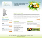 Animals & Pets Website Template Bird World