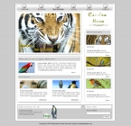 Animals & Pets Website Template RG-0001-AP