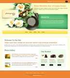 Art & Photography Website Template DPK-0003-ART