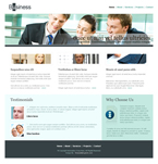 Business Website Template 