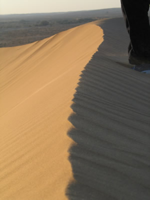 Barren Desert