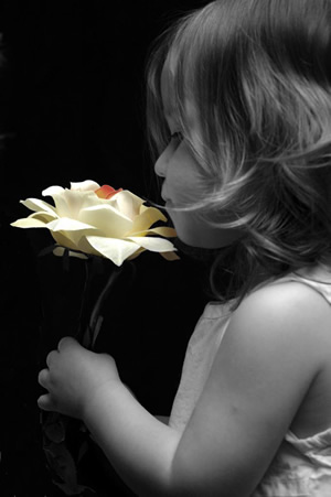 Sweet Innocence