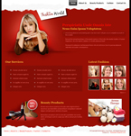 Fashion Website Template SJT-0001-FA