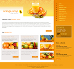 Food & Restaurant Website Template BRN-0003-FR