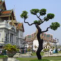 Thailand Palace