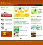 Web site design SWNM-0002-WEBD