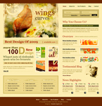 Web Design JDP-0003-WEBD