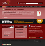 Web Design CSS Template PKR-C0011