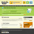 Web Design CSS Template PKR-C0013